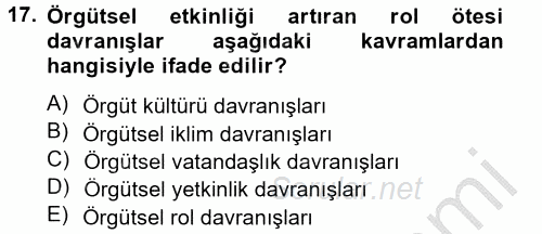 Örgütsel Davranış 2012 - 2013 Dönem Sonu Sınavı 17.Soru