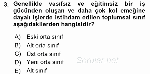 Türkiye´nin Toplumsal Yapısı 2017 - 2018 Dönem Sonu Sınavı 3.Soru