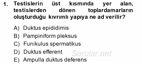 Doğum Bilgisi ve Suni Tohumlama 2014 - 2015 Dönem Sonu Sınavı 1.Soru