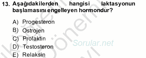 Doğum Bilgisi ve Suni Tohumlama 2014 - 2015 Dönem Sonu Sınavı 13.Soru