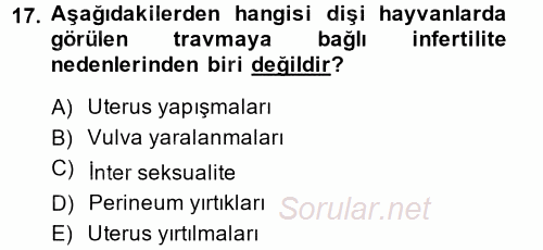 Doğum Bilgisi ve Suni Tohumlama 2014 - 2015 Dönem Sonu Sınavı 17.Soru