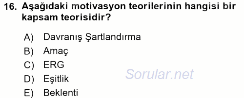 Eğitim Psikolojisi 2017 - 2018 Dönem Sonu Sınavı 16.Soru