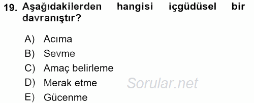 Eğitim Psikolojisi 2017 - 2018 Dönem Sonu Sınavı 19.Soru