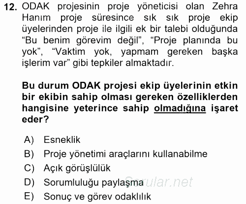 Proje Yönetimi 2017 - 2018 Dönem Sonu Sınavı 12.Soru