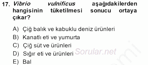 Gıda Güvenliğinin Temel Prensipleri 2013 - 2014 Ara Sınavı 17.Soru