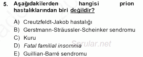 Gıda Güvenliğinin Temel Prensipleri 2013 - 2014 Ara Sınavı 5.Soru