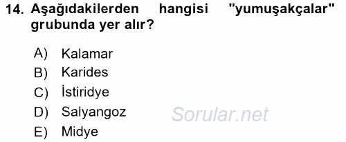 Gıda Coğrafyası 2017 - 2018 Dönem Sonu Sınavı 14.Soru