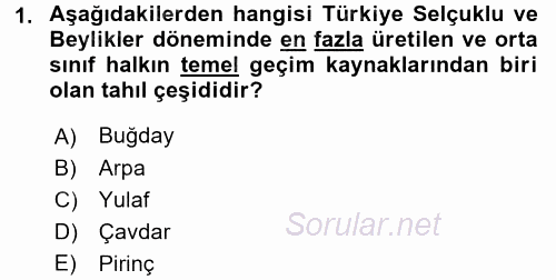 Türk Mutfak Kültürü 2016 - 2017 Dönem Sonu Sınavı 1.Soru