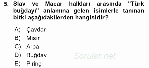 Türk Mutfak Kültürü 2016 - 2017 Dönem Sonu Sınavı 5.Soru