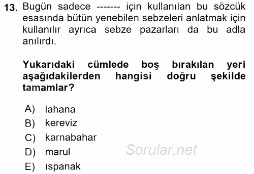 Gastronomi Tarihi 2017 - 2018 Ara Sınavı 13.Soru