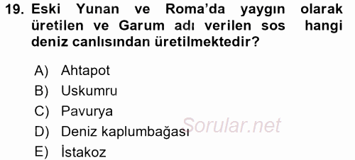 Gastronomi Tarihi 2017 - 2018 Ara Sınavı 19.Soru