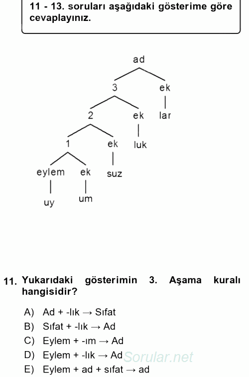 Genel Dilbilim 1 2017 - 2018 3 Ders Sınavı 11.Soru