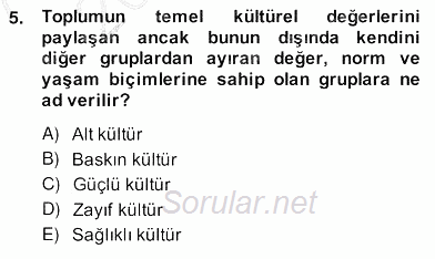 Yönetim ve Organizasyon 2 2013 - 2014 Ara Sınavı 5.Soru