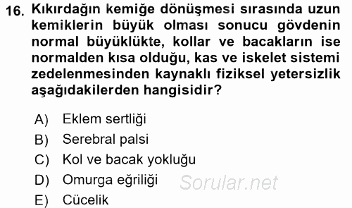 Çocuk Gelişimde Normal Ve Atipik Gelişim 2017 - 2018 Dönem Sonu Sınavı 16.Soru