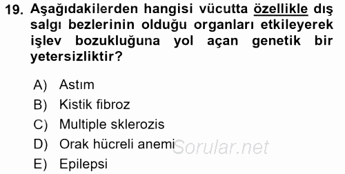 Çocuk Gelişimde Normal Ve Atipik Gelişim 2017 - 2018 Dönem Sonu Sınavı 19.Soru