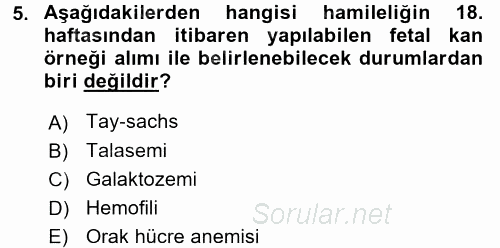 Çocuk Gelişimde Normal Ve Atipik Gelişim 2017 - 2018 Dönem Sonu Sınavı 5.Soru