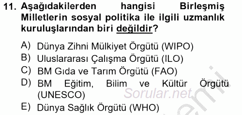 Uluslararası Sosyal Politika 2012 - 2013 Dönem Sonu Sınavı 11.Soru
