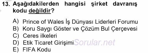 Uluslararası Sosyal Politika 2012 - 2013 Dönem Sonu Sınavı 13.Soru