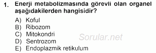 Hücre Kimyası 2012 - 2013 Dönem Sonu Sınavı 1.Soru