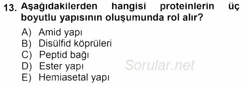 Hücre Kimyası 2012 - 2013 Dönem Sonu Sınavı 13.Soru