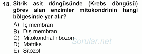 Hücre Kimyası 2012 - 2013 Dönem Sonu Sınavı 18.Soru