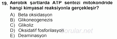 Hücre Kimyası 2012 - 2013 Dönem Sonu Sınavı 19.Soru