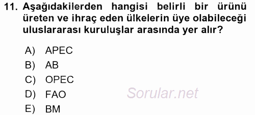 Uluslararası Ekonomik Kuruluşlar 2017 - 2018 Dönem Sonu Sınavı 11.Soru