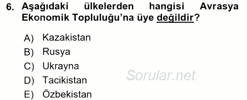 Uluslararası Ekonomik Kuruluşlar 2017 - 2018 Dönem Sonu Sınavı 6.Soru