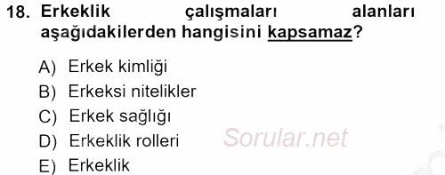 Yeni Toplumsal Hareketler 2012 - 2013 Ara Sınavı 18.Soru