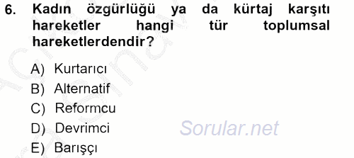 Yeni Toplumsal Hareketler 2012 - 2013 Ara Sınavı 6.Soru