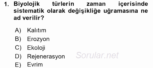 Uygarlık Tarihi 1 2016 - 2017 Ara Sınavı 1.Soru