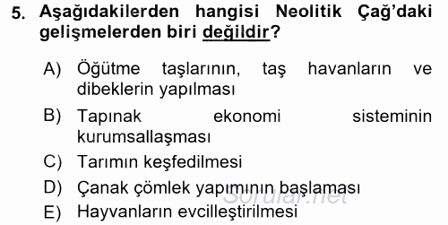 Uygarlık Tarihi 1 2016 - 2017 Ara Sınavı 5.Soru