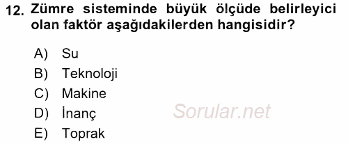 Çalışma Sosyolojisi 2017 - 2018 3 Ders Sınavı 12.Soru