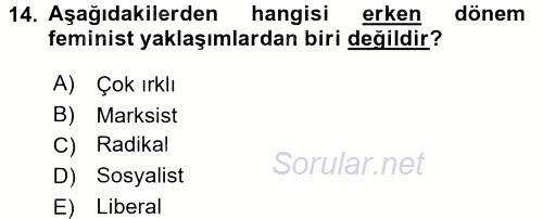 Çalışma Sosyolojisi 2017 - 2018 3 Ders Sınavı 14.Soru