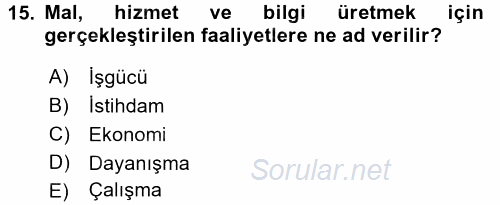 Çalışma Sosyolojisi 2017 - 2018 3 Ders Sınavı 15.Soru