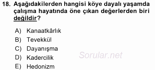 Çalışma Sosyolojisi 2017 - 2018 3 Ders Sınavı 18.Soru