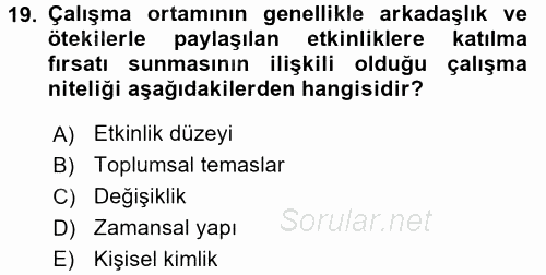 Çalışma Sosyolojisi 2017 - 2018 3 Ders Sınavı 19.Soru