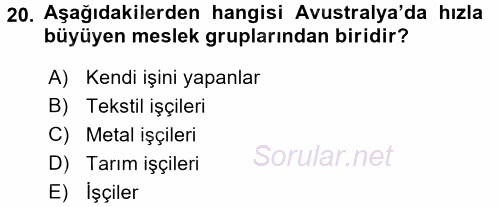 Çalışma Sosyolojisi 2017 - 2018 3 Ders Sınavı 20.Soru
