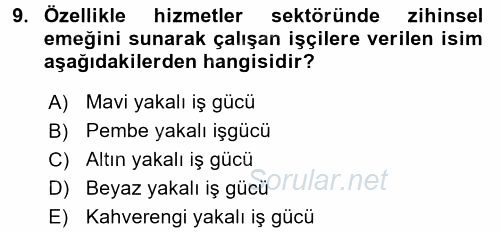 Çalışma Sosyolojisi 2017 - 2018 3 Ders Sınavı 9.Soru