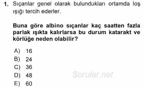 Laboratuvar Hayvanlarını Yetiştirme ve Sağlığı 2016 - 2017 Dönem Sonu Sınavı 1.Soru