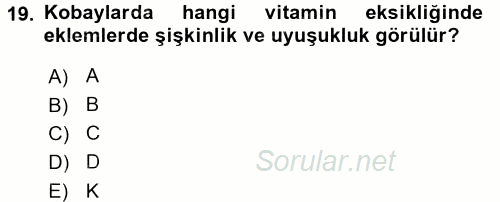 Laboratuvar Hayvanlarını Yetiştirme ve Sağlığı 2016 - 2017 Dönem Sonu Sınavı 19.Soru