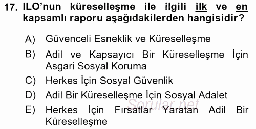 Sosyal Politika 2016 - 2017 3 Ders Sınavı 17.Soru