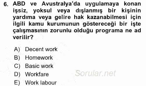 Sosyal Politika 2016 - 2017 3 Ders Sınavı 6.Soru
