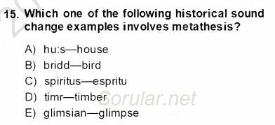 Dilbilim 2 2013 - 2014 Dönem Sonu Sınavı 15.Soru