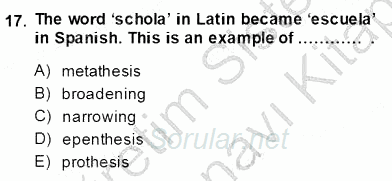 Dilbilim 2 2013 - 2014 Dönem Sonu Sınavı 17.Soru