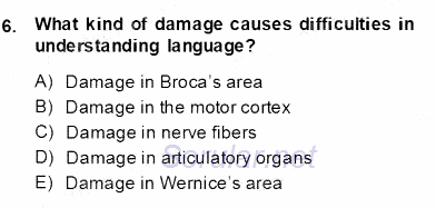 Dilbilim 2 2013 - 2014 Dönem Sonu Sınavı 6.Soru