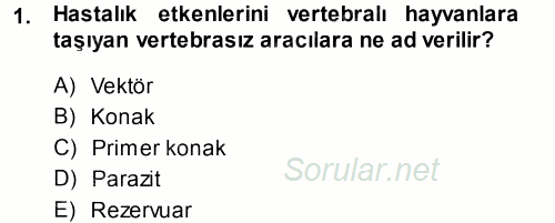 Veteriner Mikrobiyoloji ve Epidemiyoloji 2014 - 2015 Ara Sınavı 1.Soru