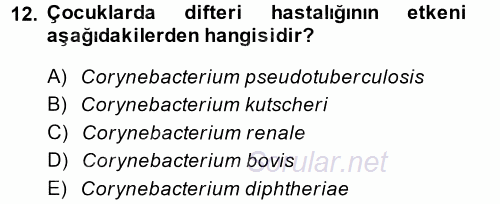 Veteriner Mikrobiyoloji ve Epidemiyoloji 2014 - 2015 Ara Sınavı 12.Soru