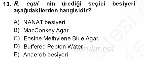 Veteriner Mikrobiyoloji ve Epidemiyoloji 2014 - 2015 Ara Sınavı 13.Soru