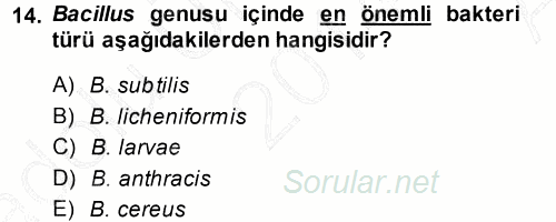 Veteriner Mikrobiyoloji ve Epidemiyoloji 2014 - 2015 Ara Sınavı 14.Soru